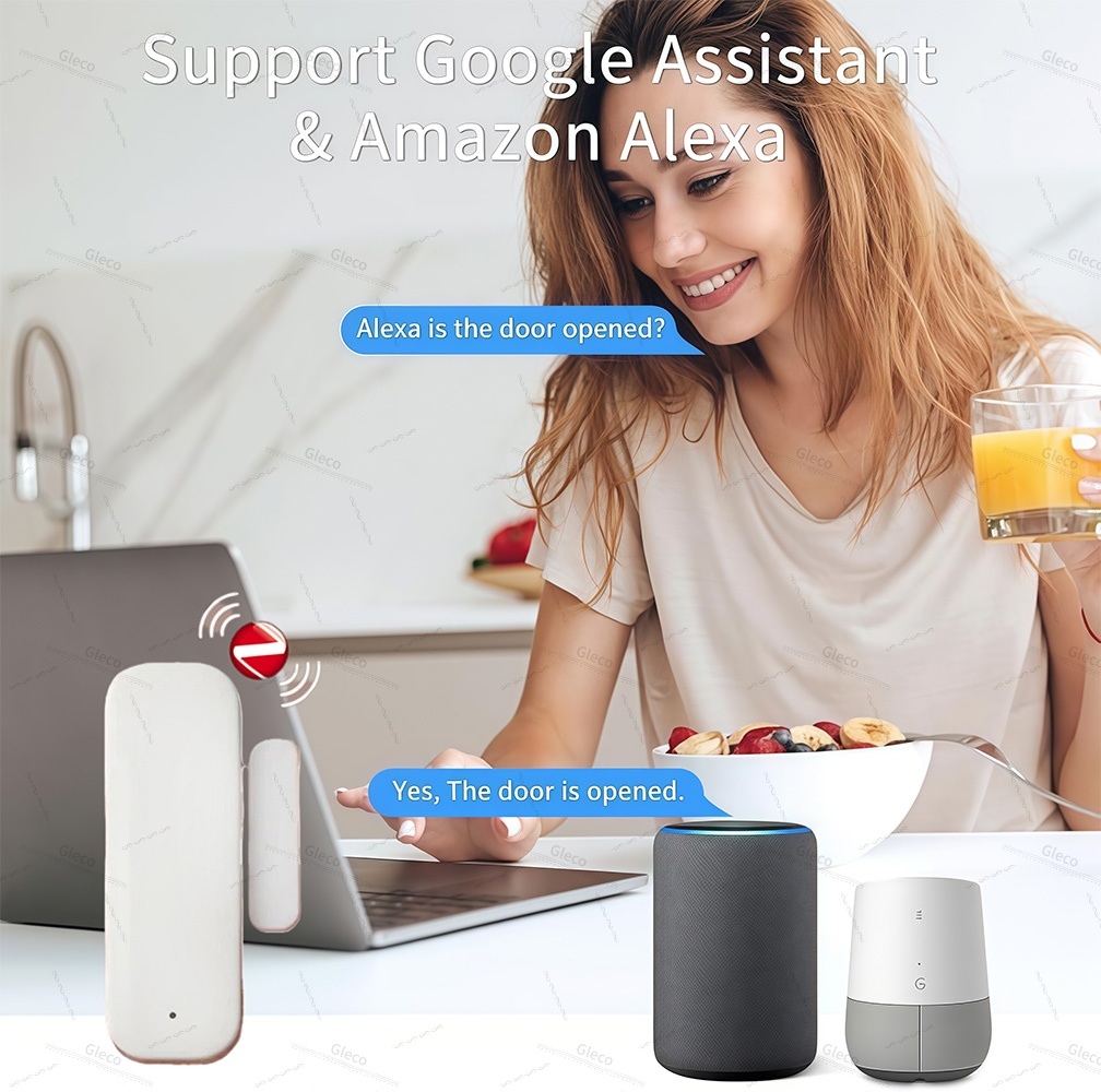 Sensor de puerta y ventana Zig - Home Automation Technology reseña y precio